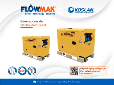 Todos los Generadores Diesel Flowmak incluyen AVR.