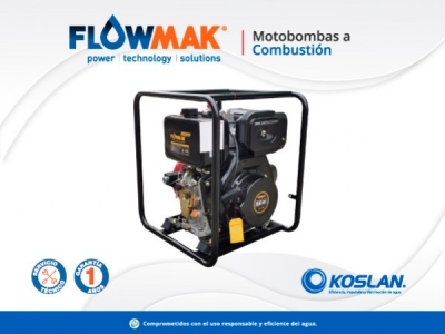 Motobombas a Combustión.